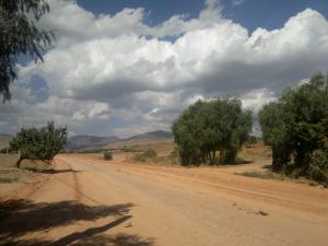 Route désertique dans la région de Msila