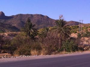 Oued Ouadah  (Msila)