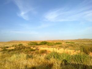 Alentours de Msila en été