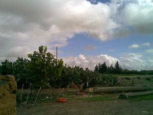 Oulad Bouakr (Msila)