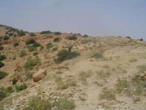 Site Naturel à Msila