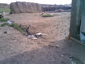 Oulad Bouakr (Msila)