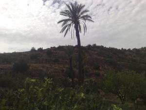 Site Naturel à Msila