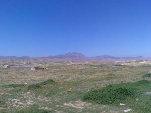 Les Environs de Msila