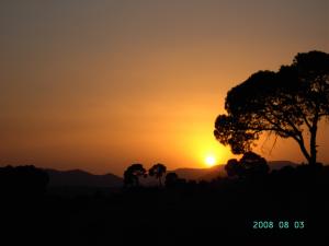 Coucher de Soleil sur la Forêt de Msila