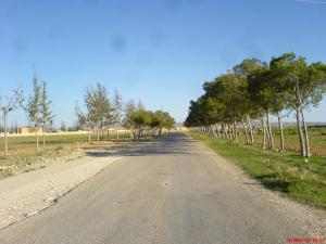 Route dans les Alentours de Msila