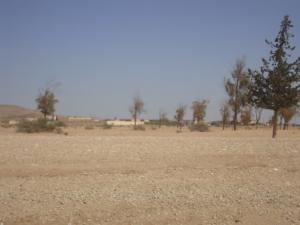 Ecole el Mergueb (Msila)