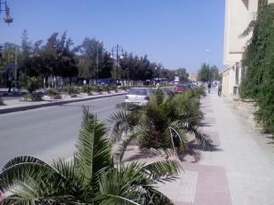 Centre Ville de Msila