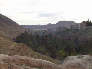 Oasis près de la rivière de Bou Saada