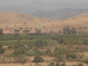 Aux alentours de Mascara