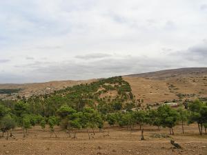 Forêt de Mohammadia Mascara