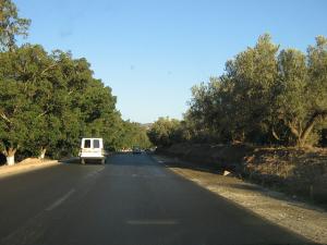 Sur la Route de Mascara