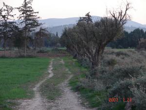 Sur la Route de Mohammadia Mascara