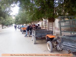 Les MINI Tracteur de la Rue Émir Khaled - Mohammadia - Mascara