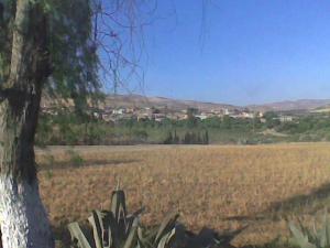 Aux alentours de Mascara