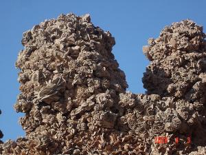 Roses des Sables à Ouargla