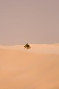 Tempête de Sables aux Alentours de Ourgla