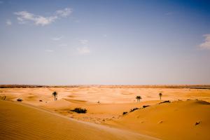 Le Désert de Wergla