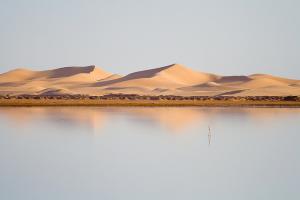 Etedue d'eau à Ourgla
