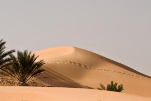 Dunes de Ourgla