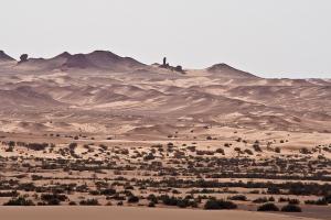Etedue Désertique à Ourgla