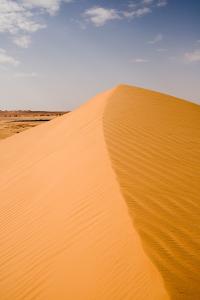 Dunes de Sable à Ourgla