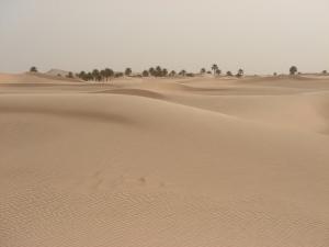 Le Désert de Ourgla