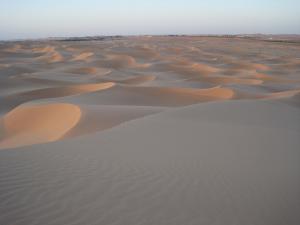 Dunes de Ouargla