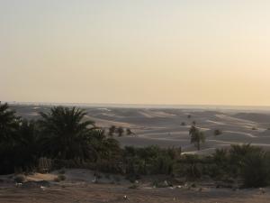 Dunes de Ouargla