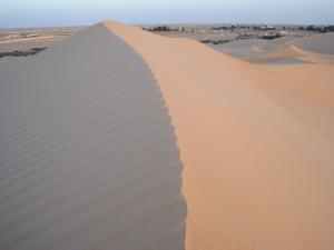 Dunes de Ouargla