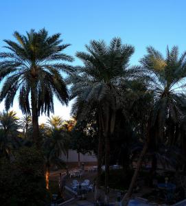 Jardin Hôtel Tassili Wergla
