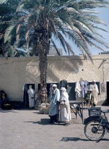 Rue de l'Oasis (Ouargla)