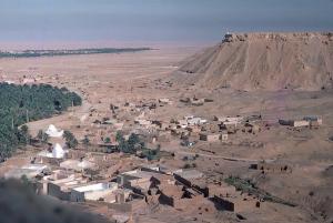 Panorama sur l'Oasis de Wargla