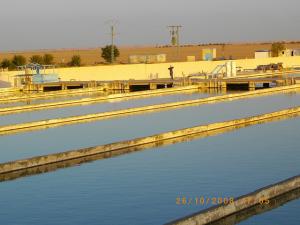 USINE DE PRODUCTION DU POISSON  TILAPIA  AU SUD ALGERIEN OUARGLA