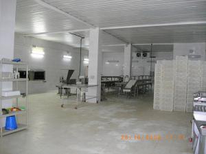 USINE DE PRODUCTION DU POISSON  TILAPIA  AU SUD ALGERIEN OUARGLA