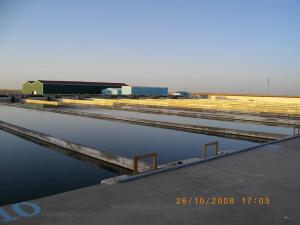 USINE DE PRODUCTION DU POISSON  TILAPIA  AU SUD ALGERIEN OUARGLA