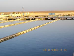 USINE DE PRODUCTION DU POISSON  TILAPIA  AU SUD ALGERIEN OUARGLA