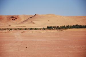 Palmeraie Mehriza rRoute de Meniaa vers  Sedrata