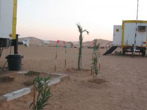 Camp Sismique  Laurier Rose  (Ouargla)