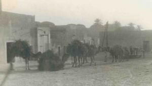 Souk Rouissat en 1953