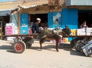 Transport à Dos d'âne