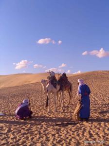 Les Hommes Bleus du Désert (Ourgla)