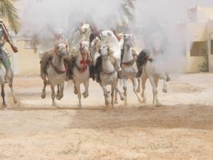 Fantazia  el khayala  à Rouissat (Ourgla)