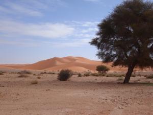 Erg Megraouane (Ourgla)