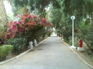 SONATRACH  Base 24 Fevrier  (Ourgla)