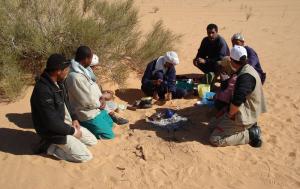 Thé du Sahara (Ourgla)