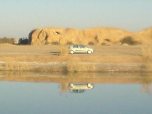 Lac Temacine (Ouergla)