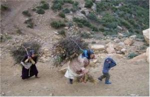 الزبوجة - الشلف  /- ذكريات من الماضي بقرية وادي حمليل