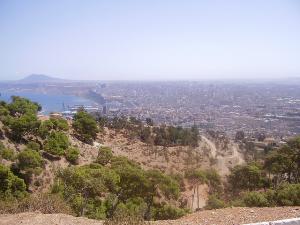 Forêt environnante à la ville d'Oran