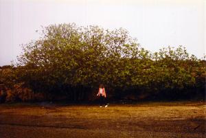 Sur la corniche, entre Oran et les Andalouses